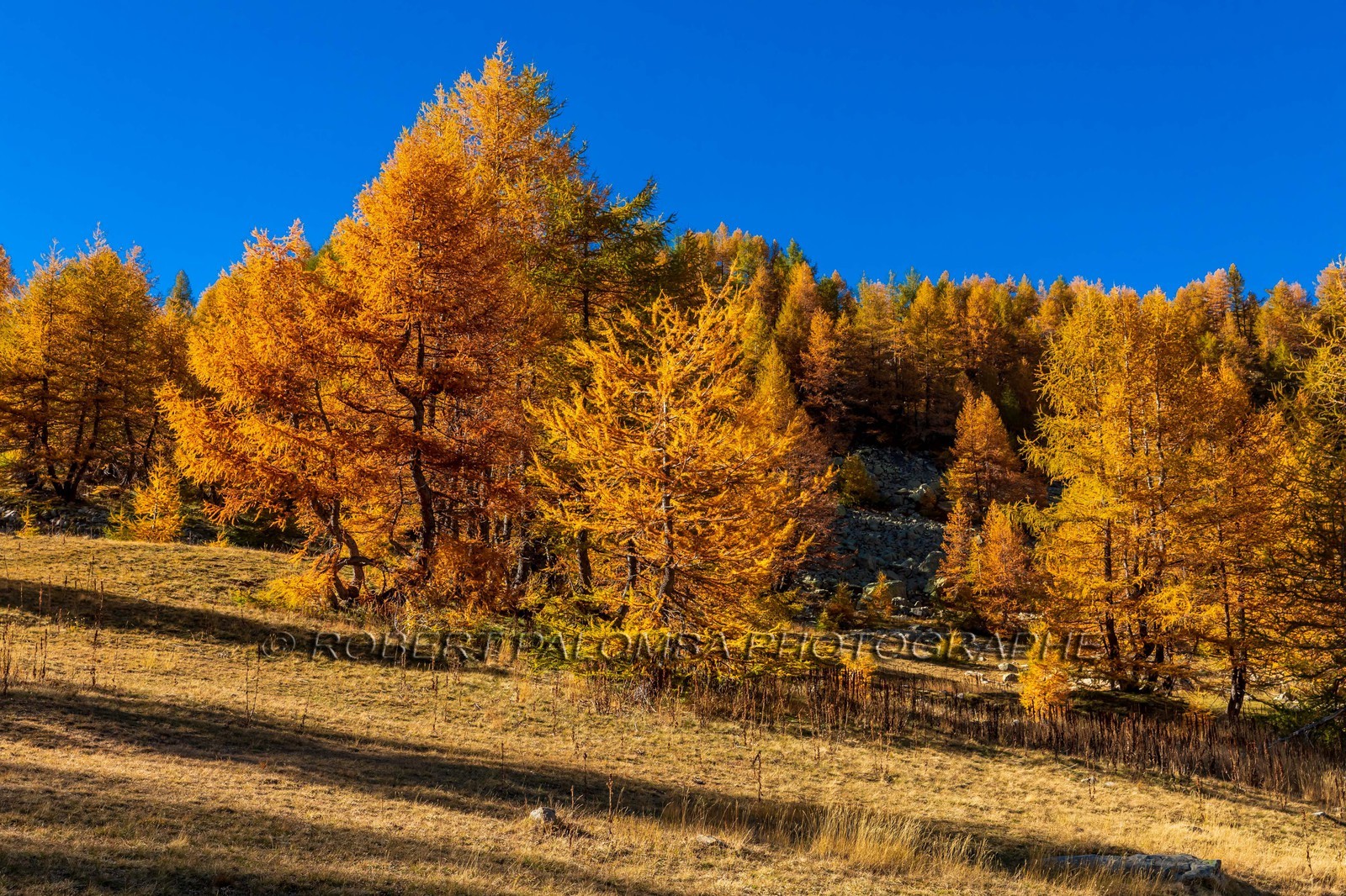 Lac d'Allos