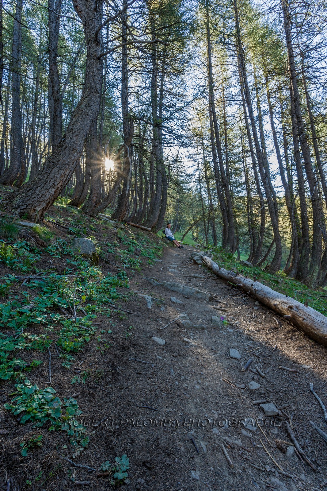 Col de la Petite Cayolle