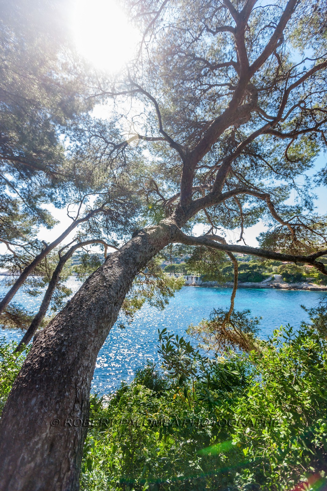 .Saint-Jean-Cap-Ferrat