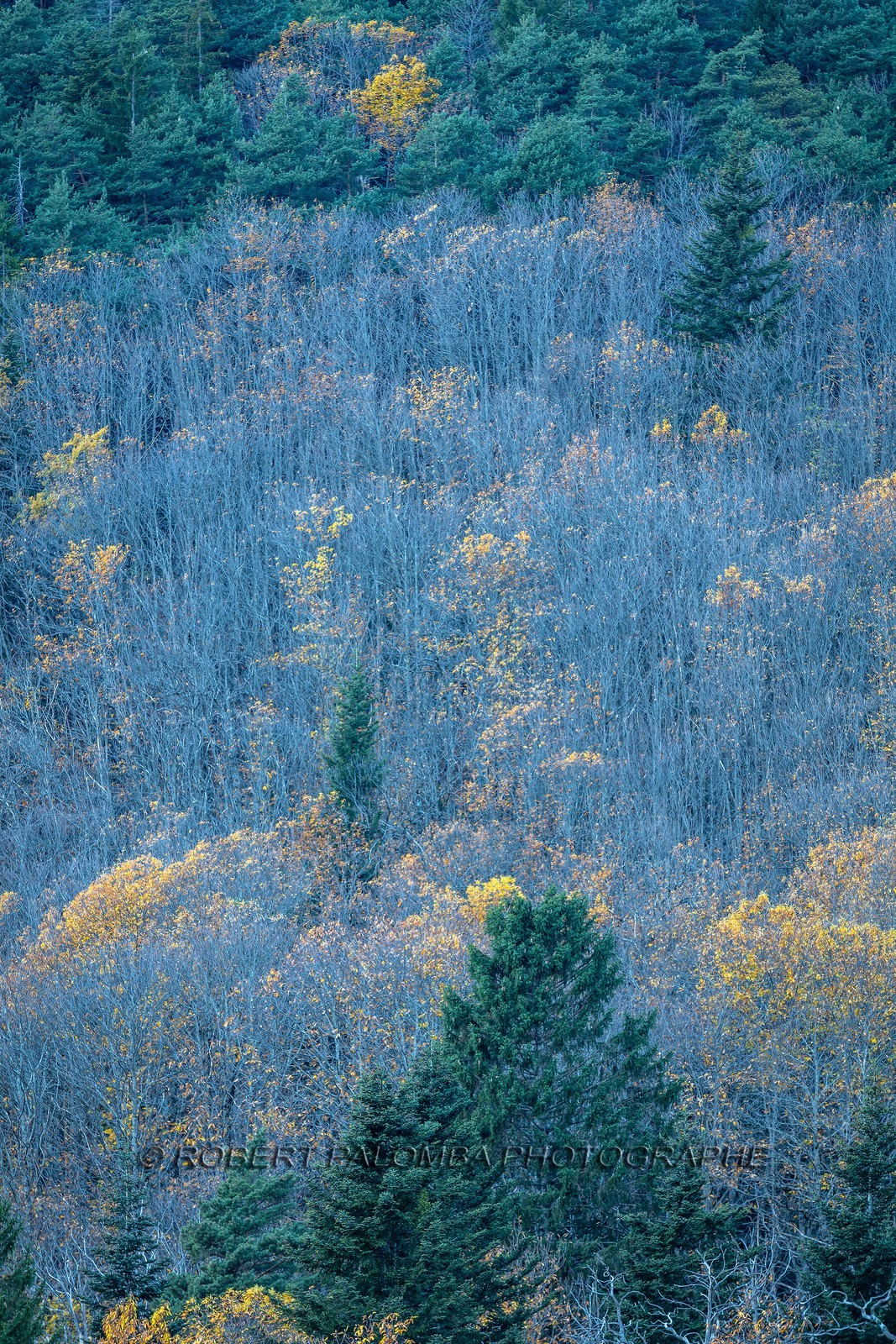 Granges de la Brasque