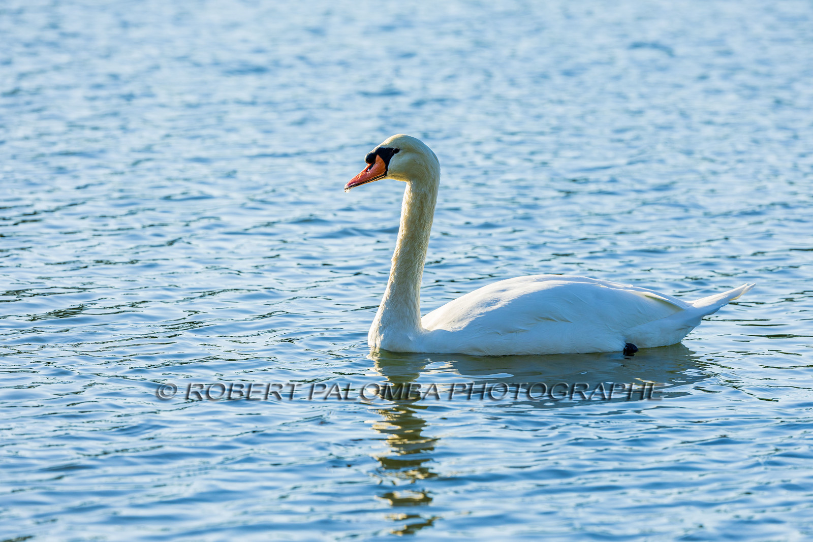Lérins Sainte Marguerite 2024