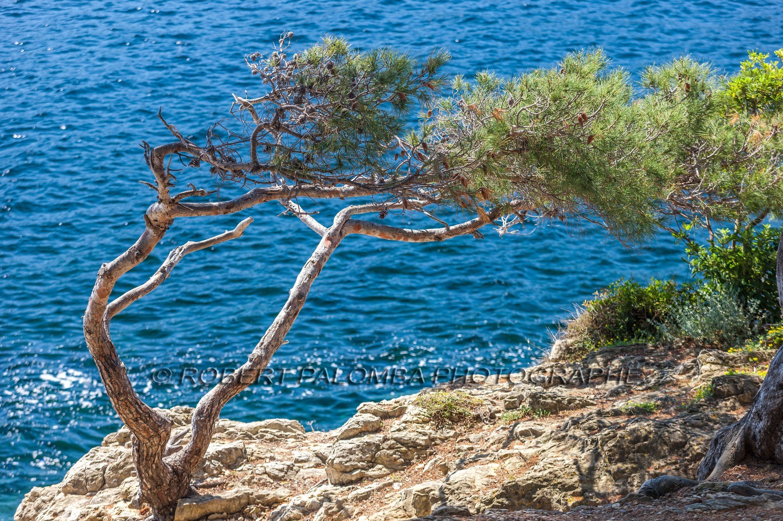 .Saint-Jean-Cap-Ferrat