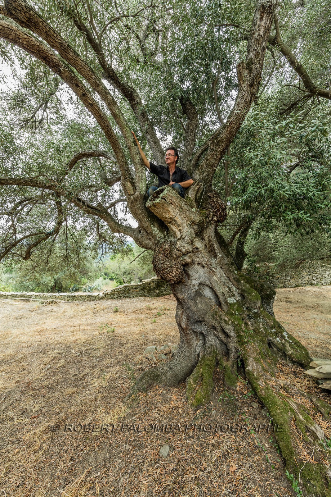 Santo-Pietro-di-Tenda