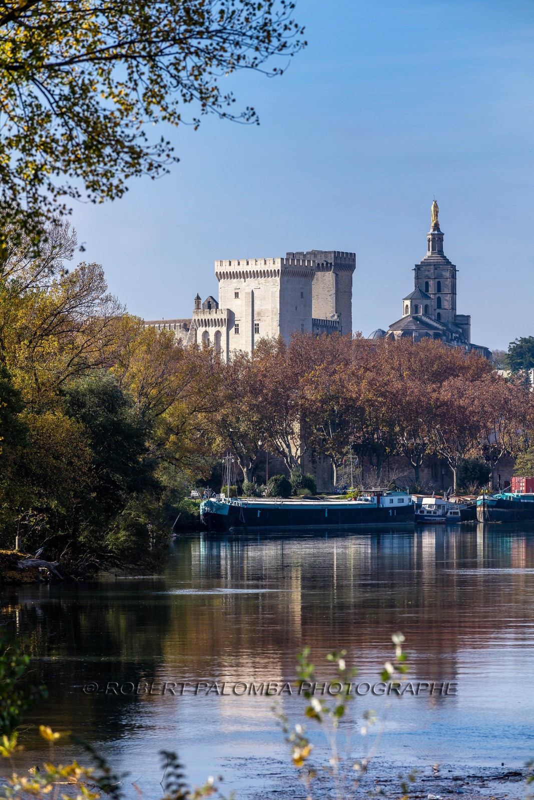 Avignon