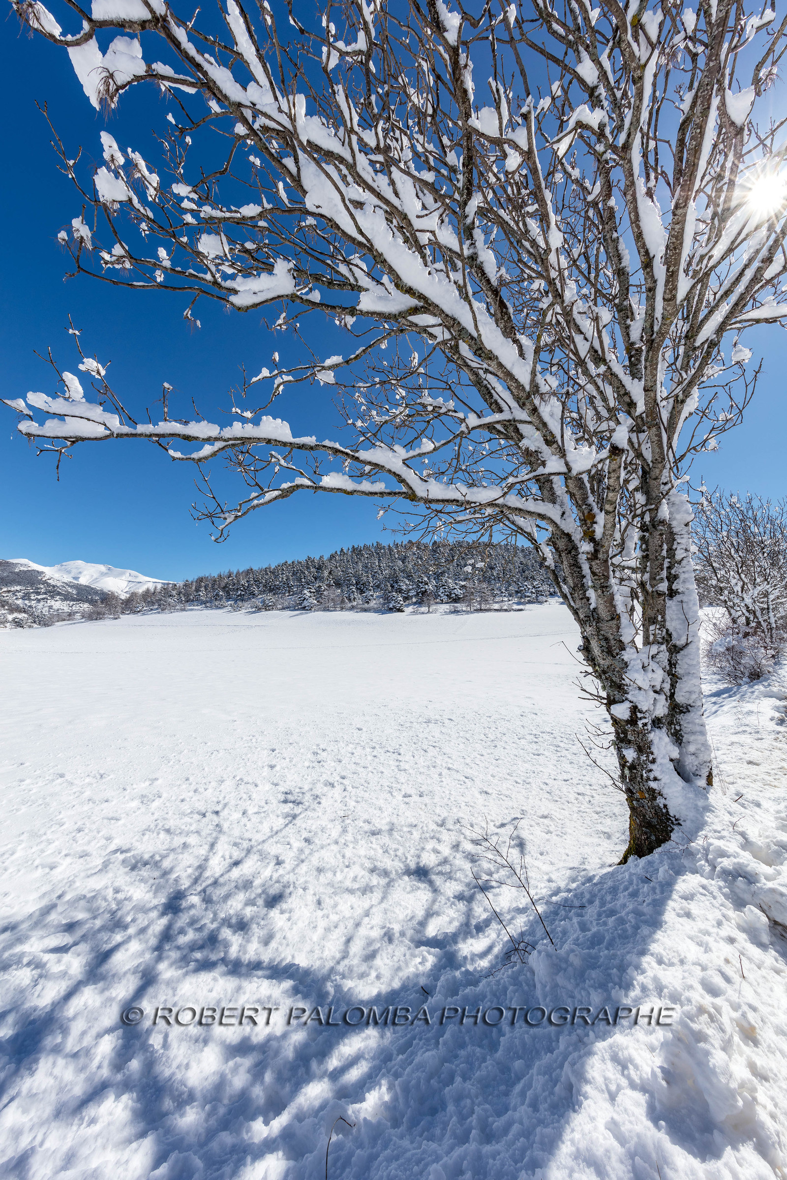 La Colle-Saint-Michel