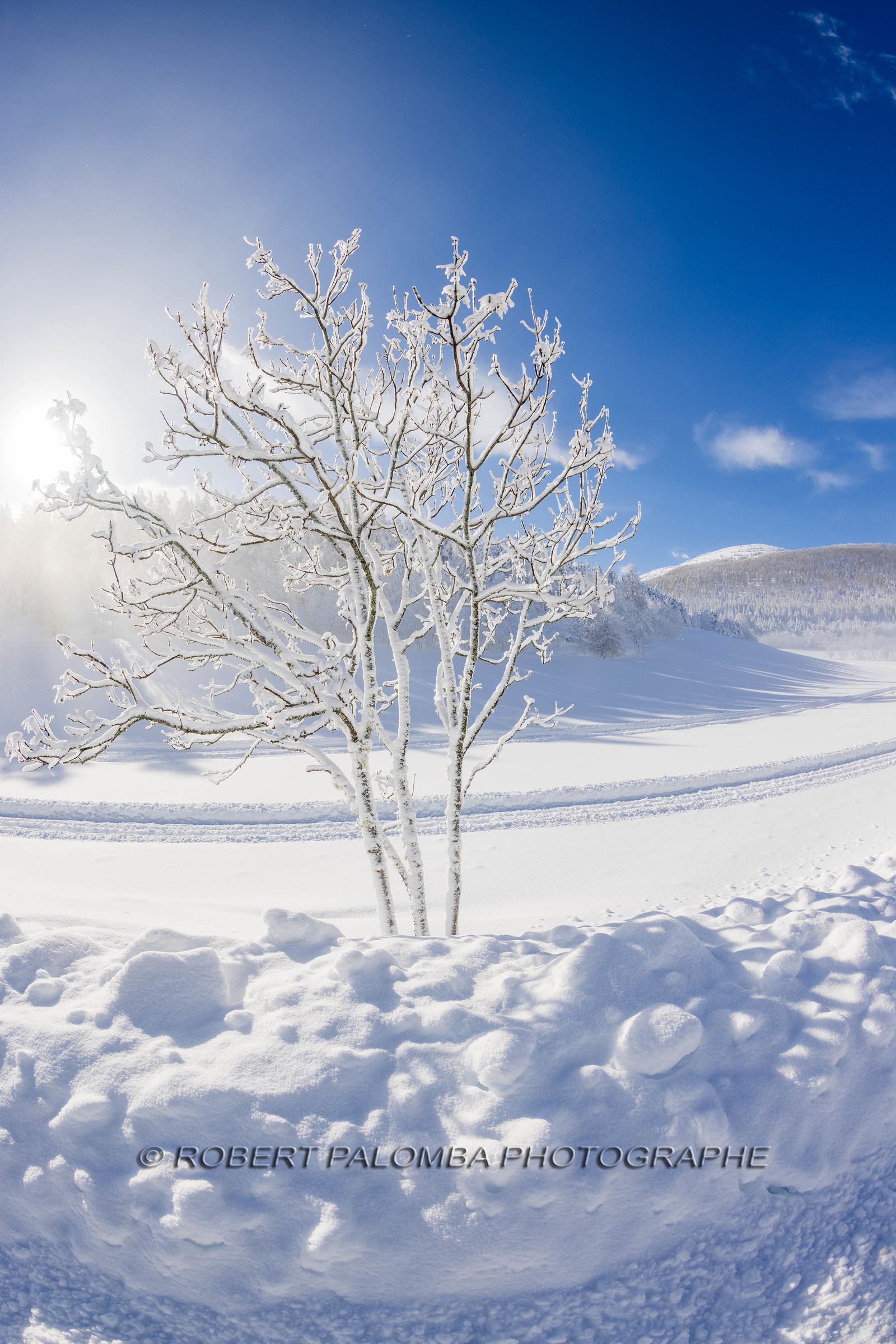 La-Colle-Saint-Michel