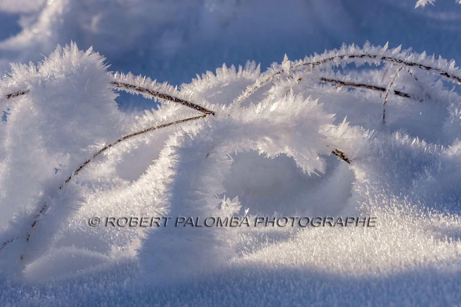 Cristaux de neige