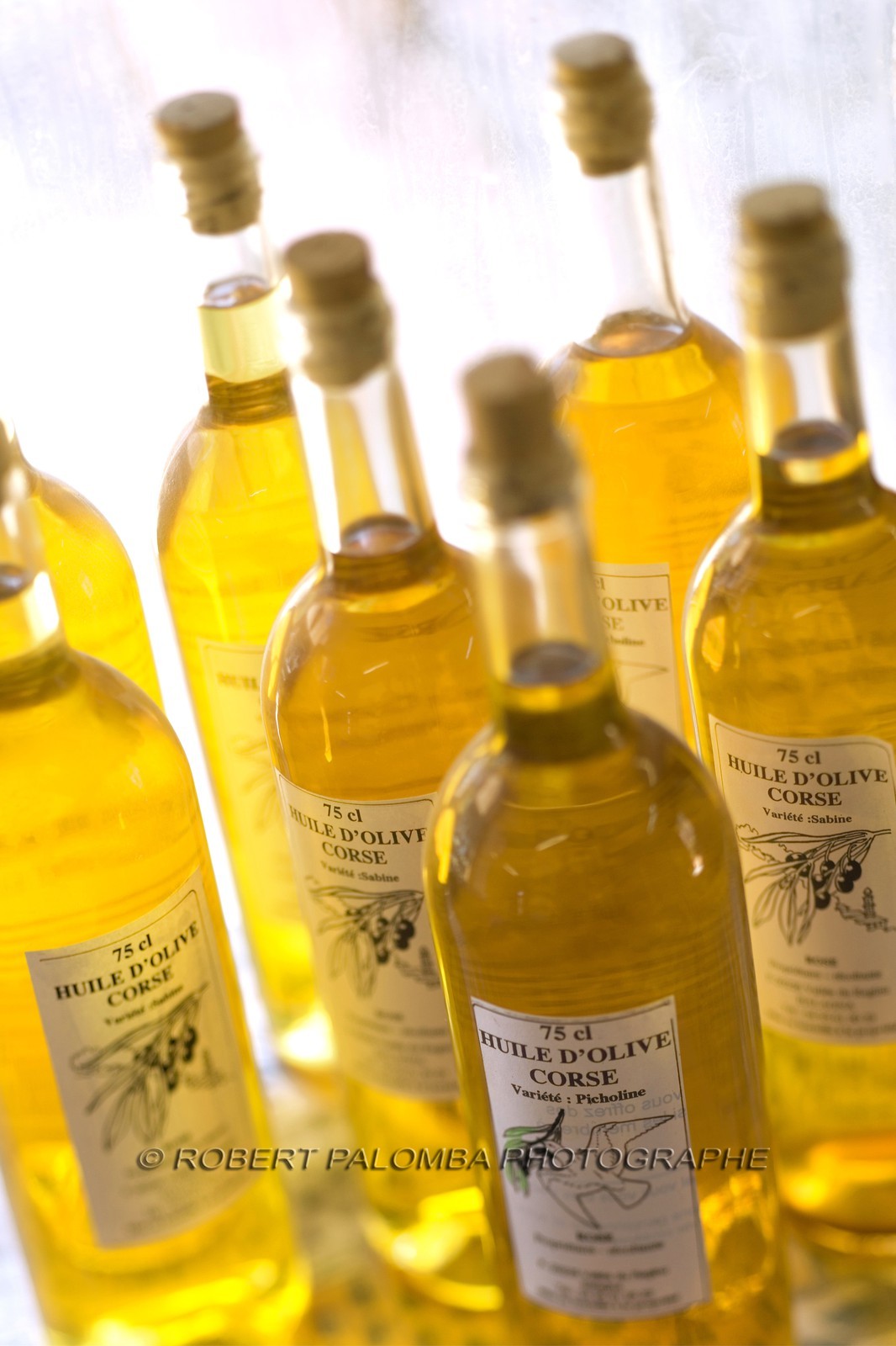 Huile d'olive, oléiculture