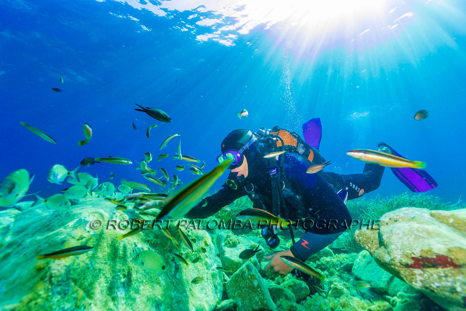 Plongée-sous-marine