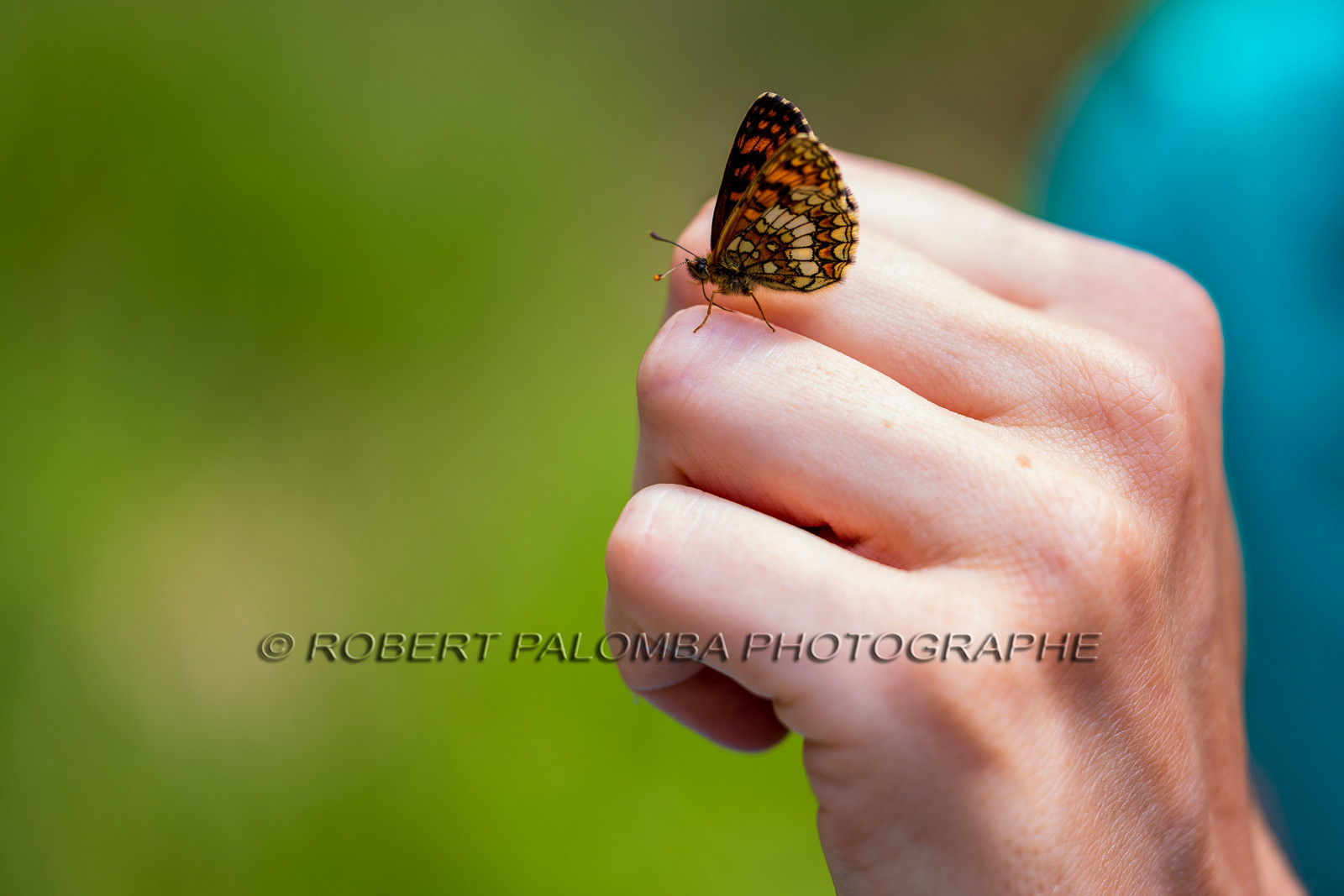 Alpes-de-Haute-Provence (04) Val d'Allos