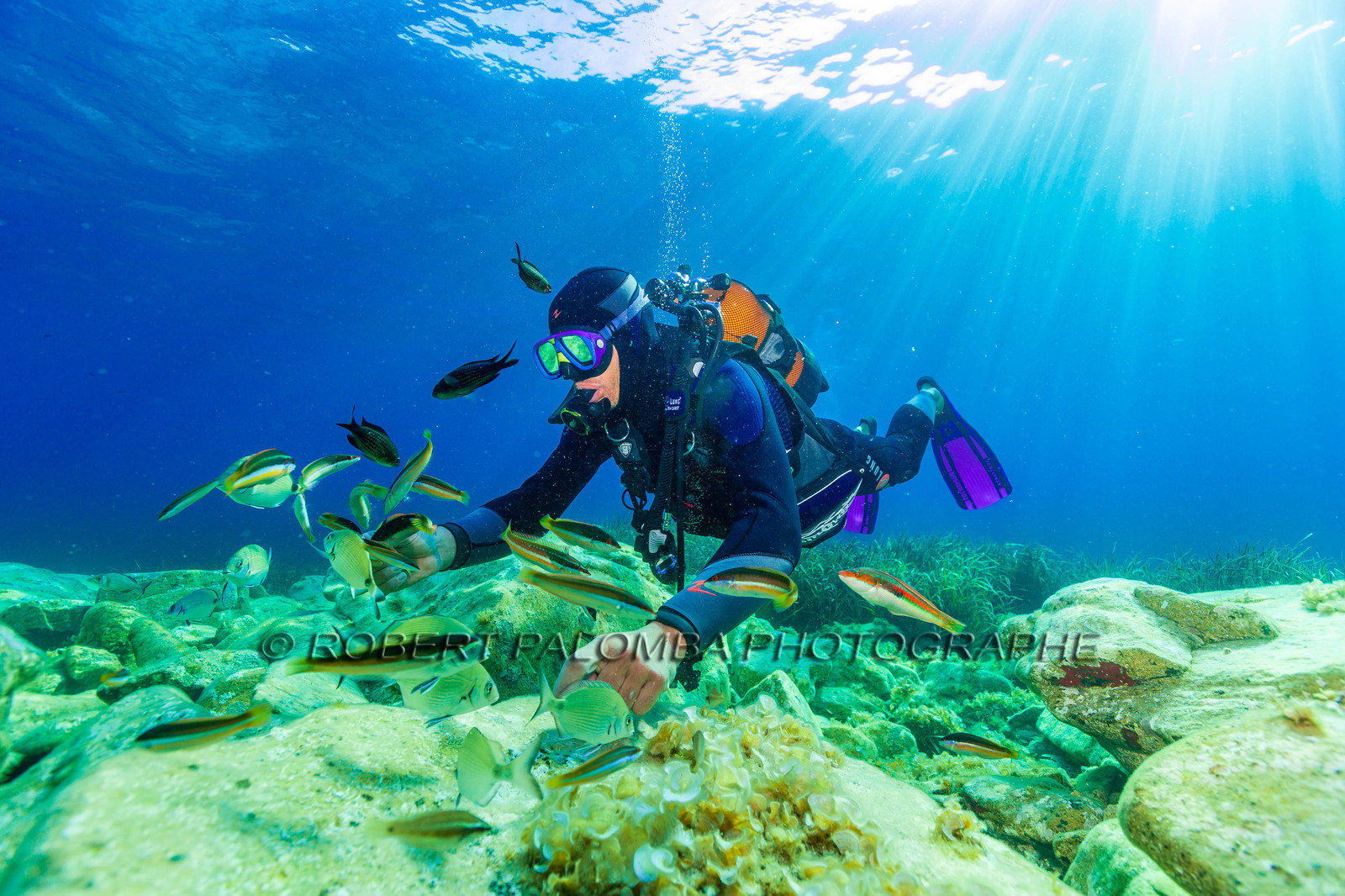 Plongée-sous-marine