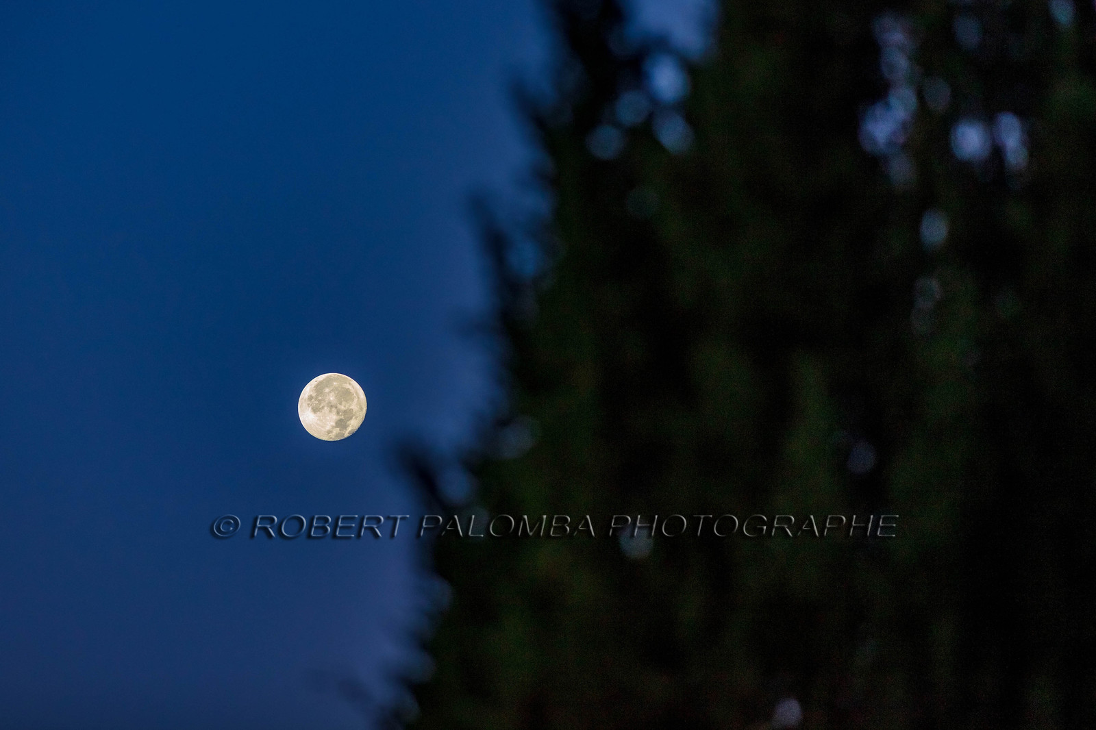 Abbaye de Sainte-Croix