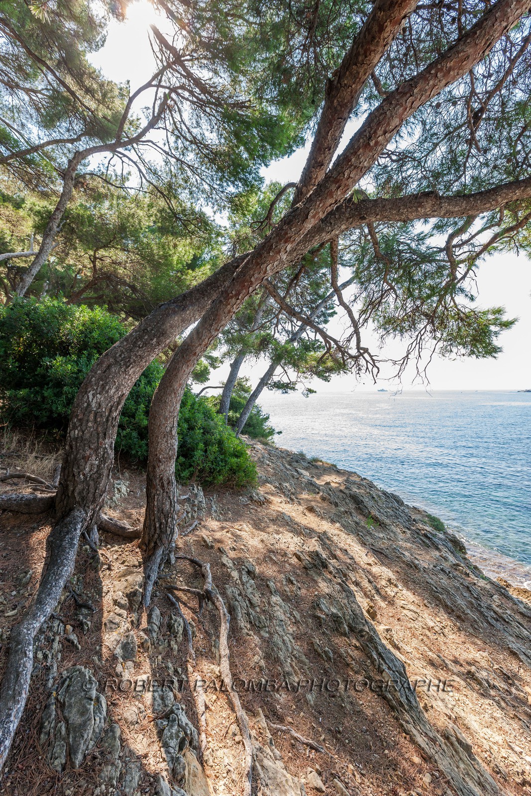 Saint-Jean-Cap-Ferrat