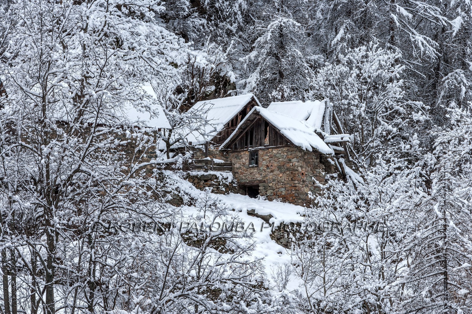 Saint-Dalmas-le-Selvage