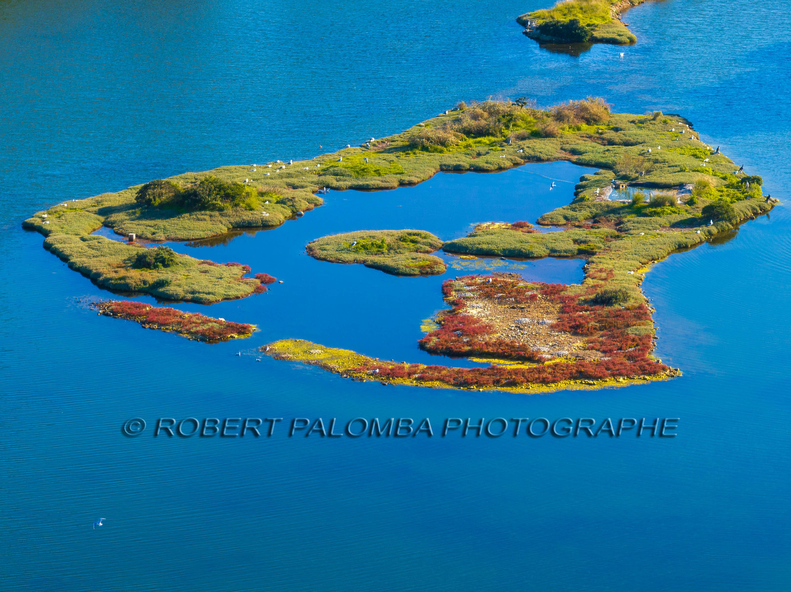 Lérins Sainte Marguerite 2024