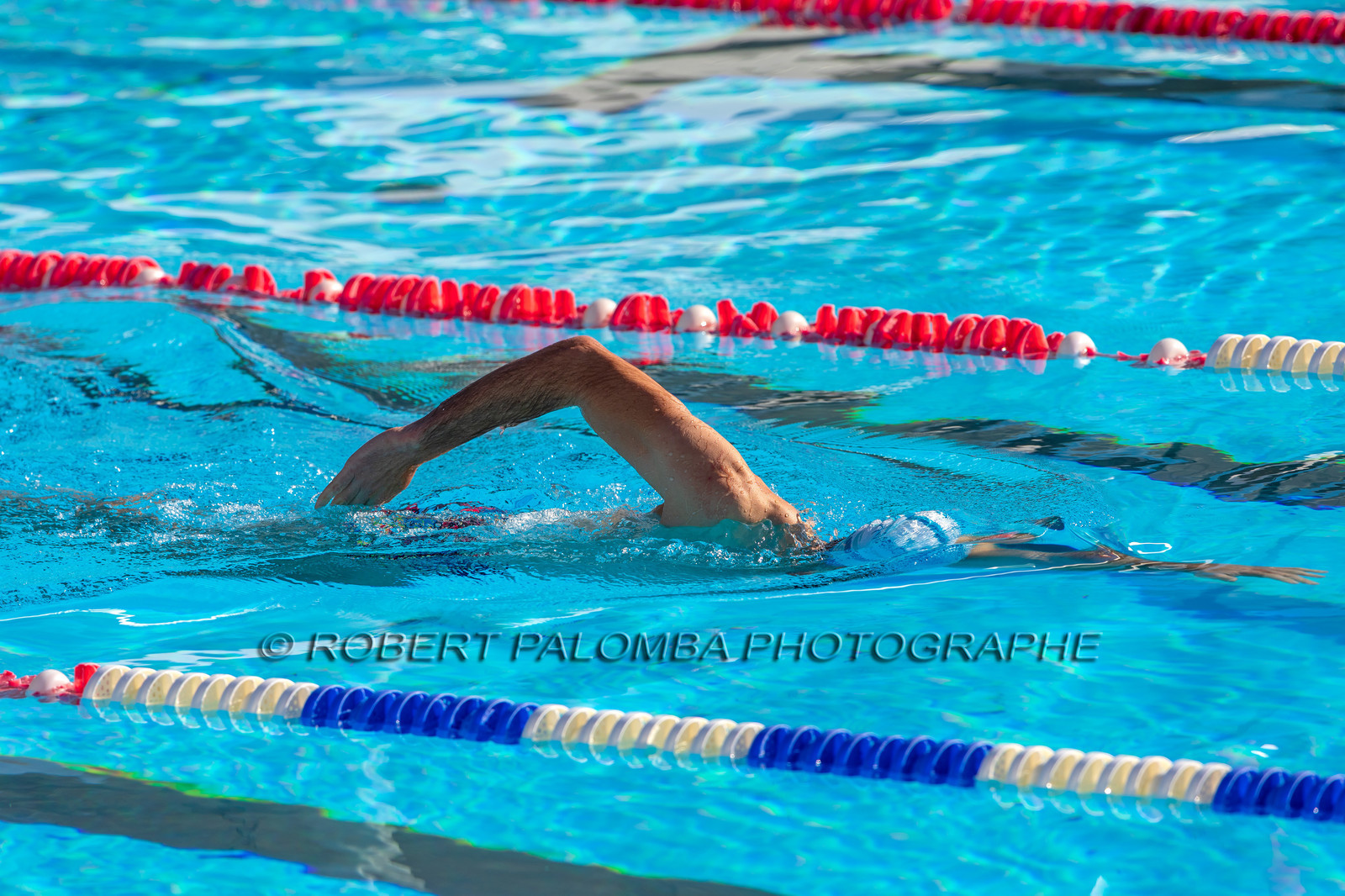 Natation