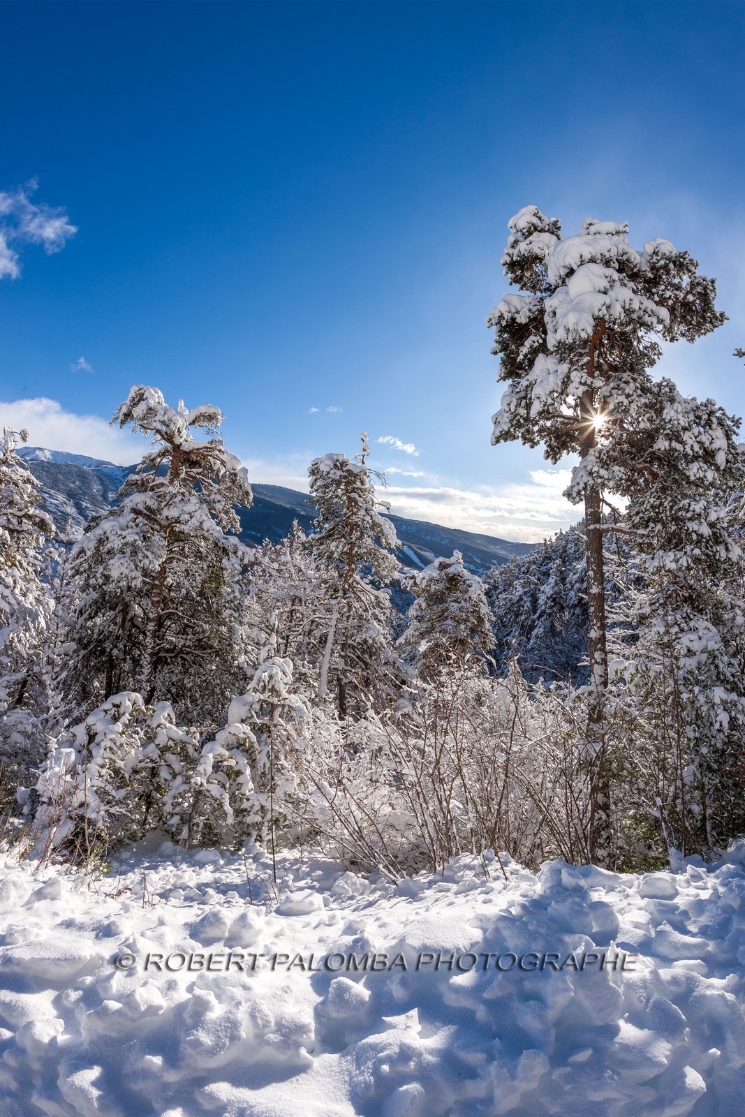 La Colle-Saint-Michel