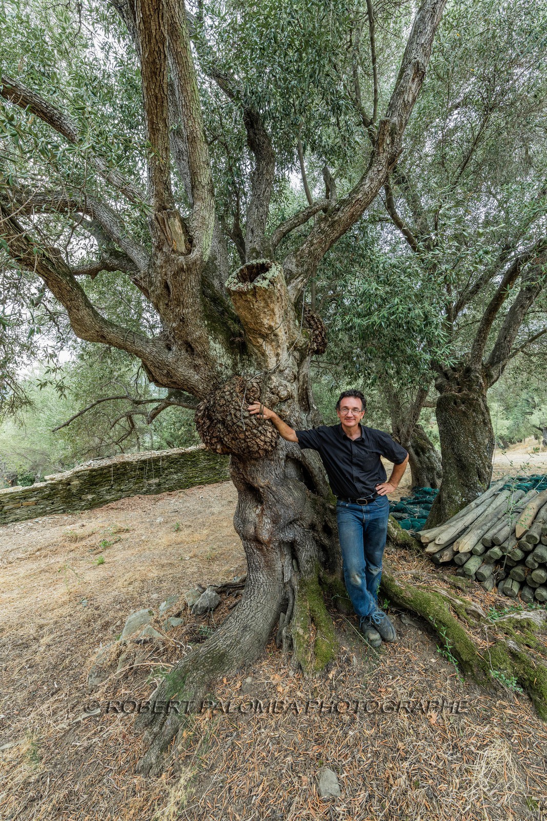 Santo-Pietro-di-Tenda