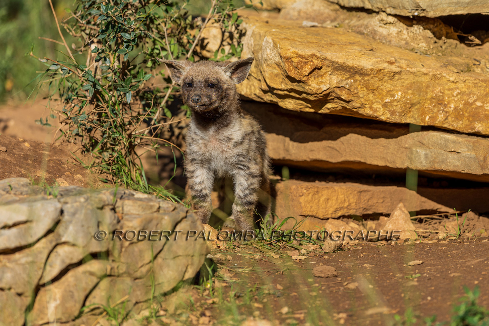 Parc animalier de la Barben