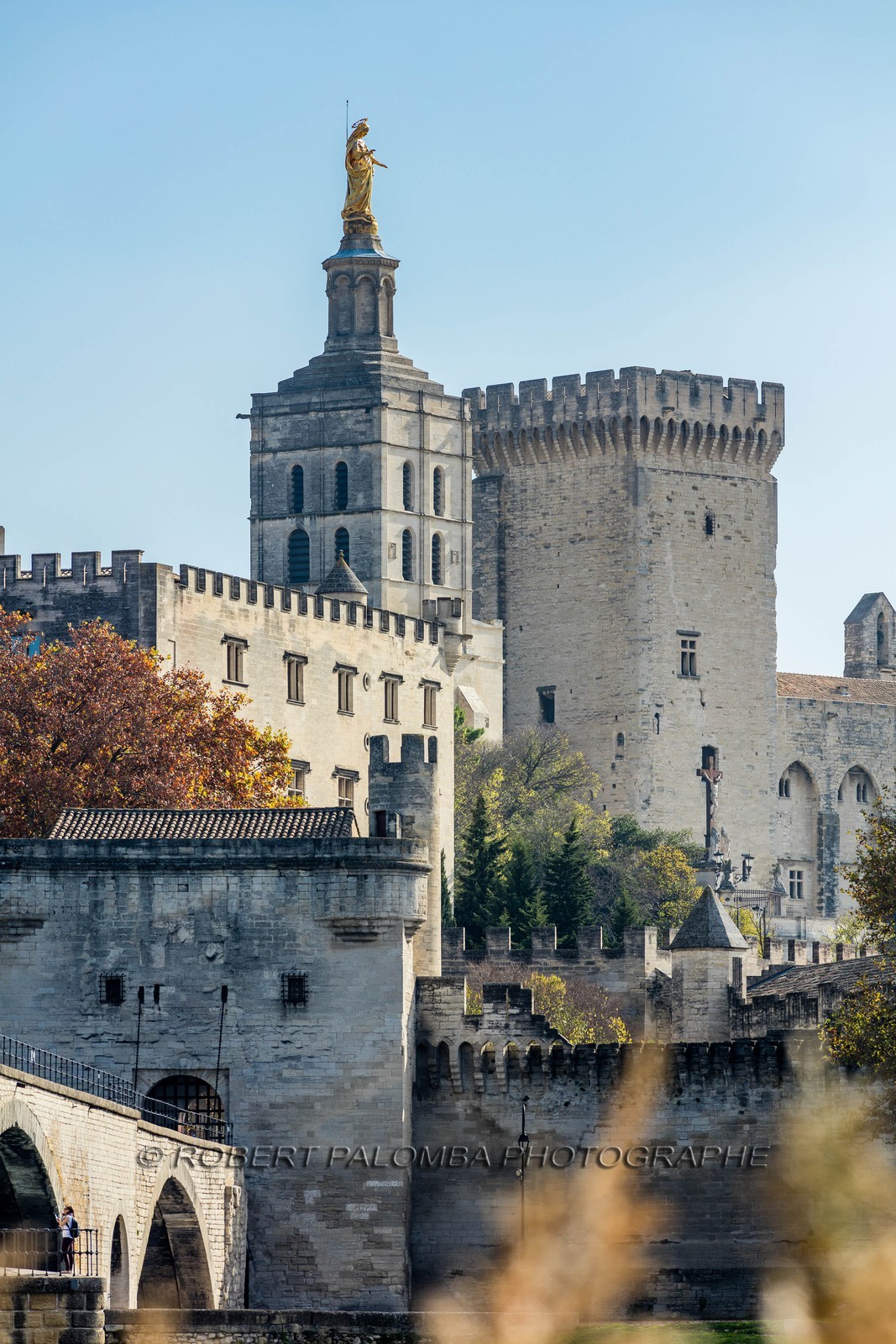 Avignon