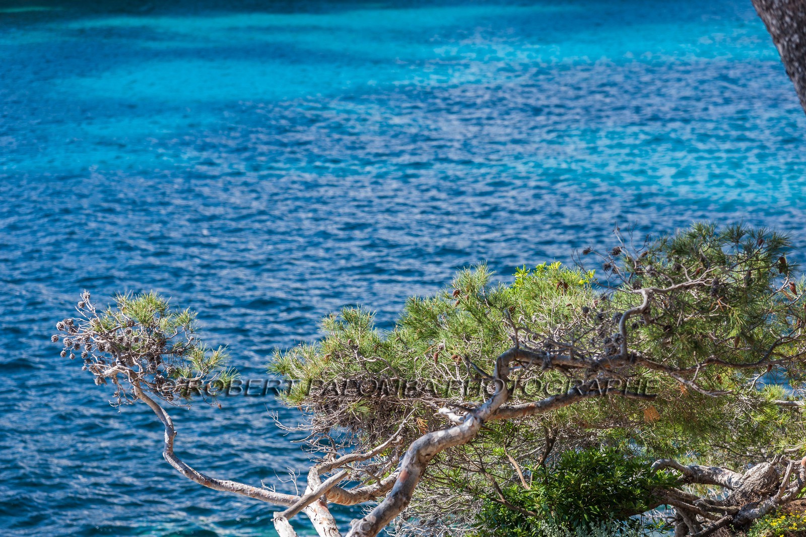 .Saint-Jean-Cap-Ferrat