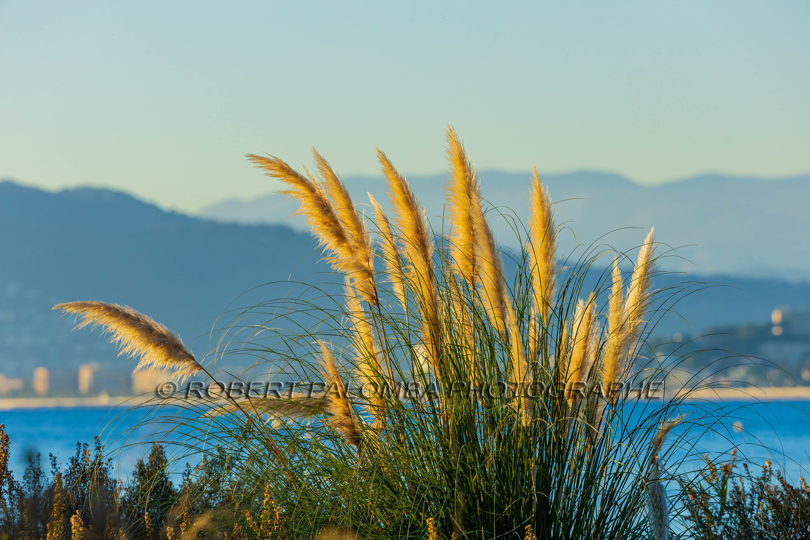 Lérins Sainte Marguerite 2024