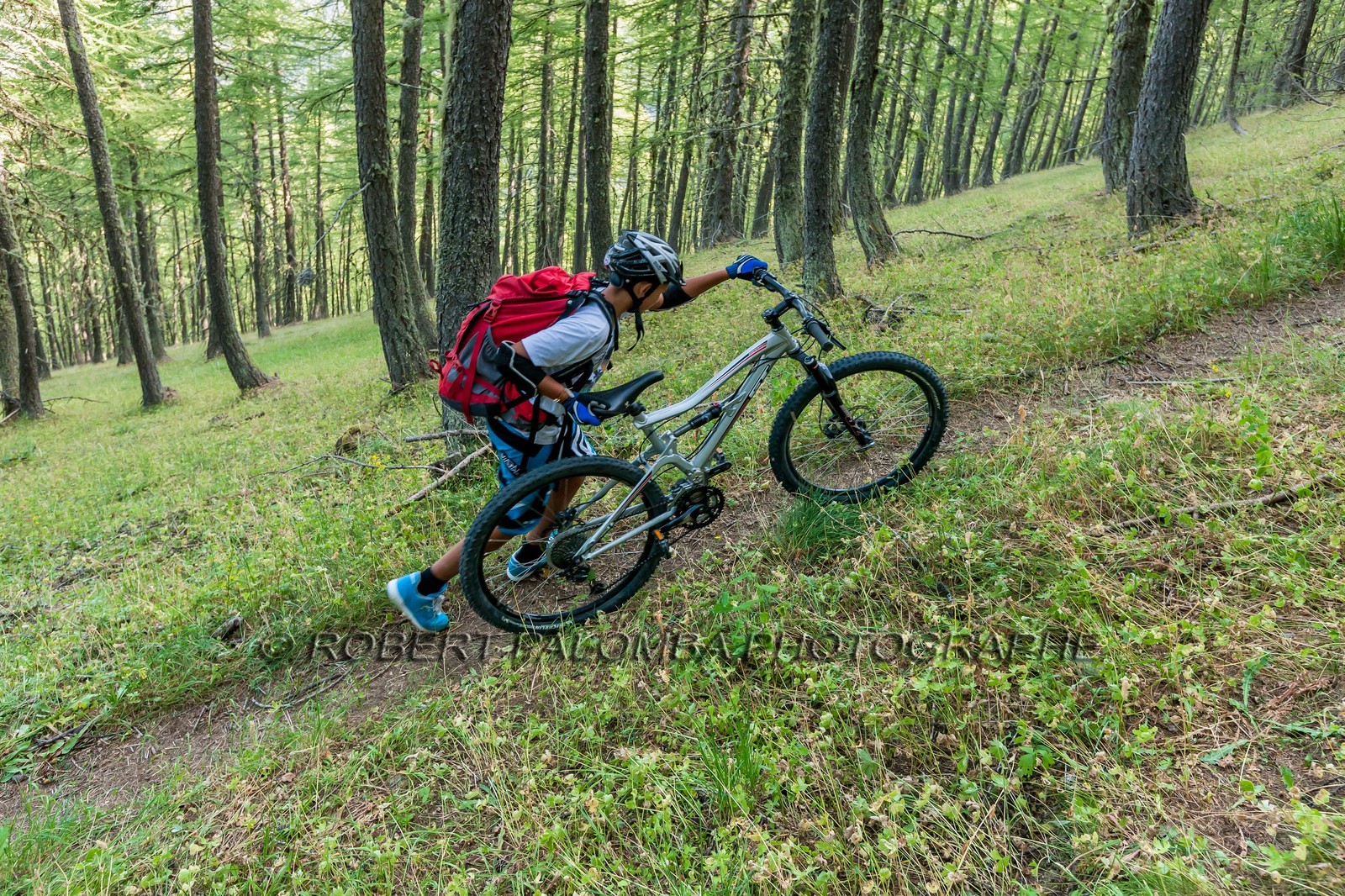 Rando Vtt Lacs de Lignin