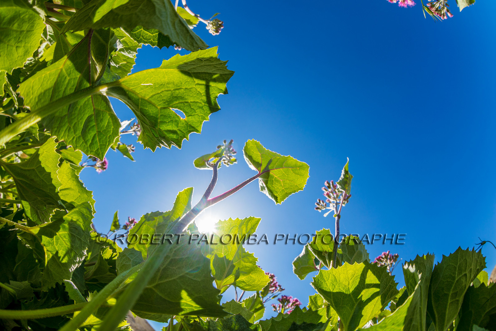 Rando des trois lacs