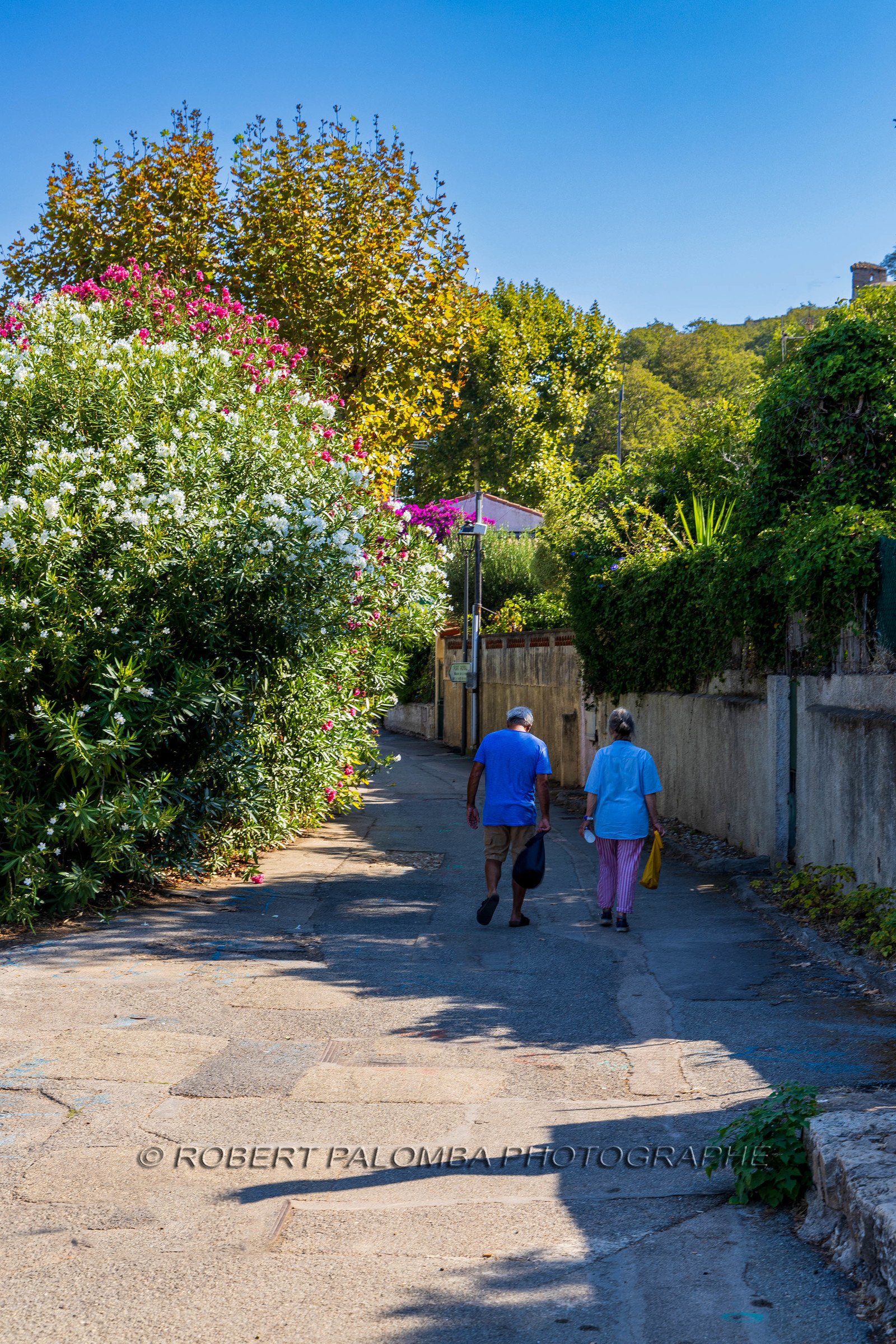 Lérins Sainte-Marguerite 2023