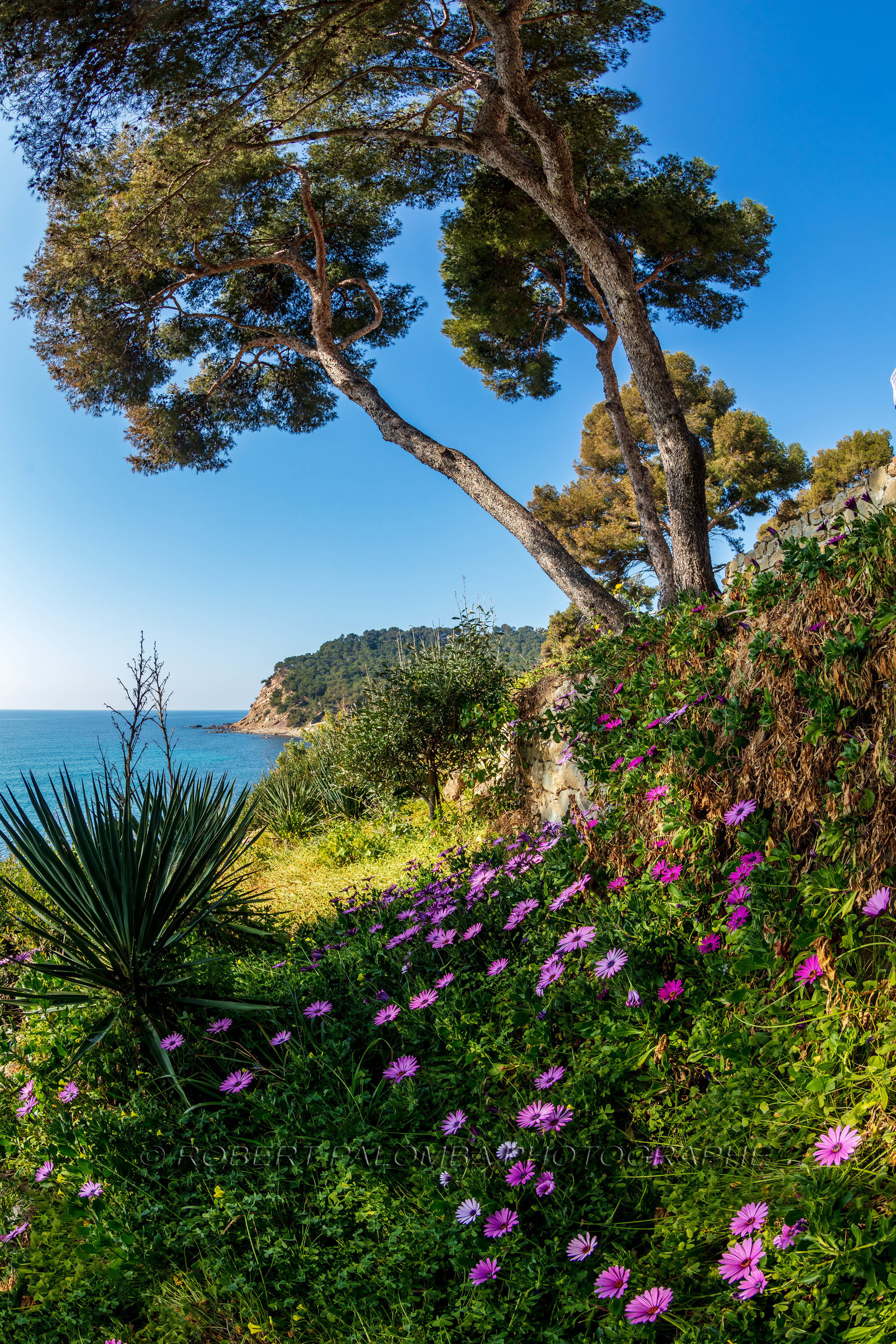 Saint-Mandrier-sur-Mer