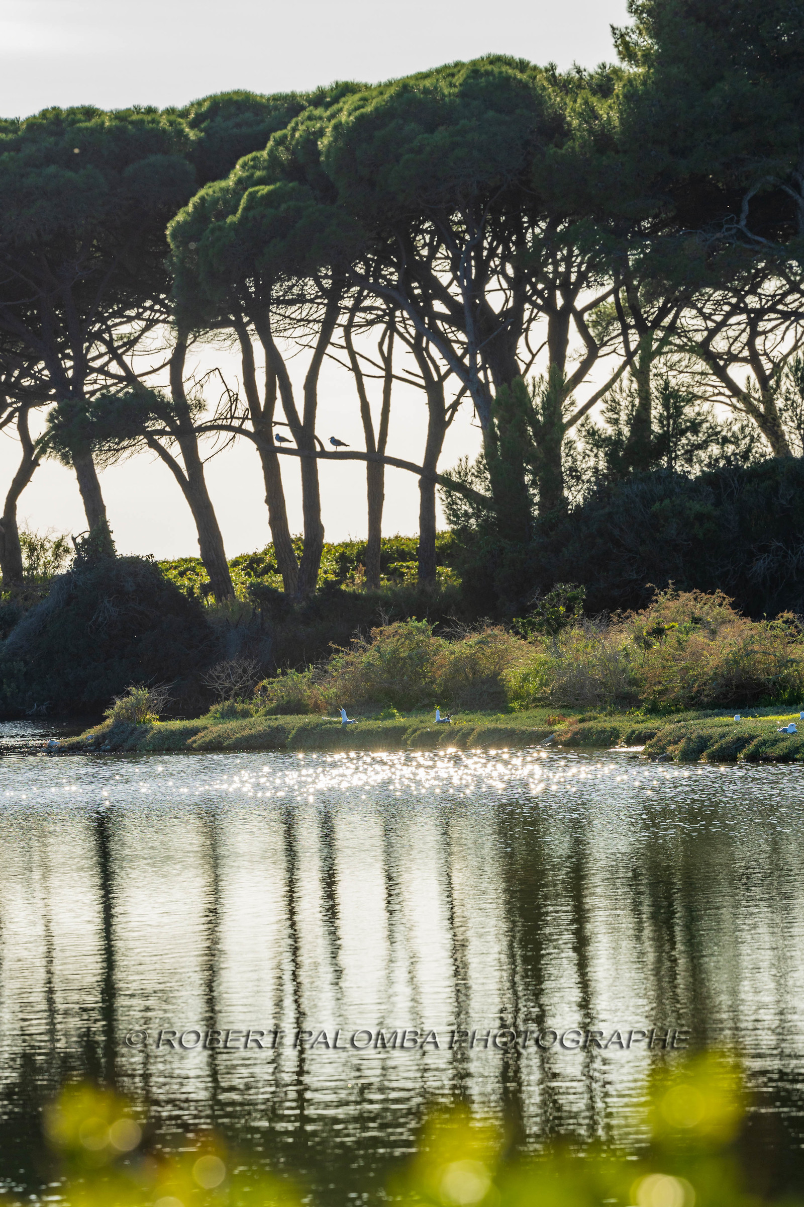 Lérins Sainte-Marguerite 2024