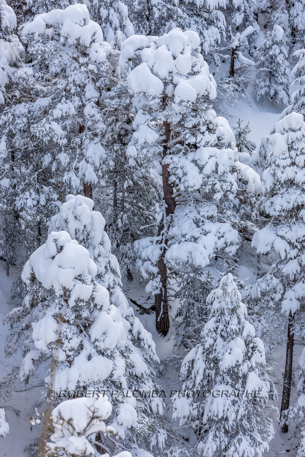 La Colle-Saint-Michel