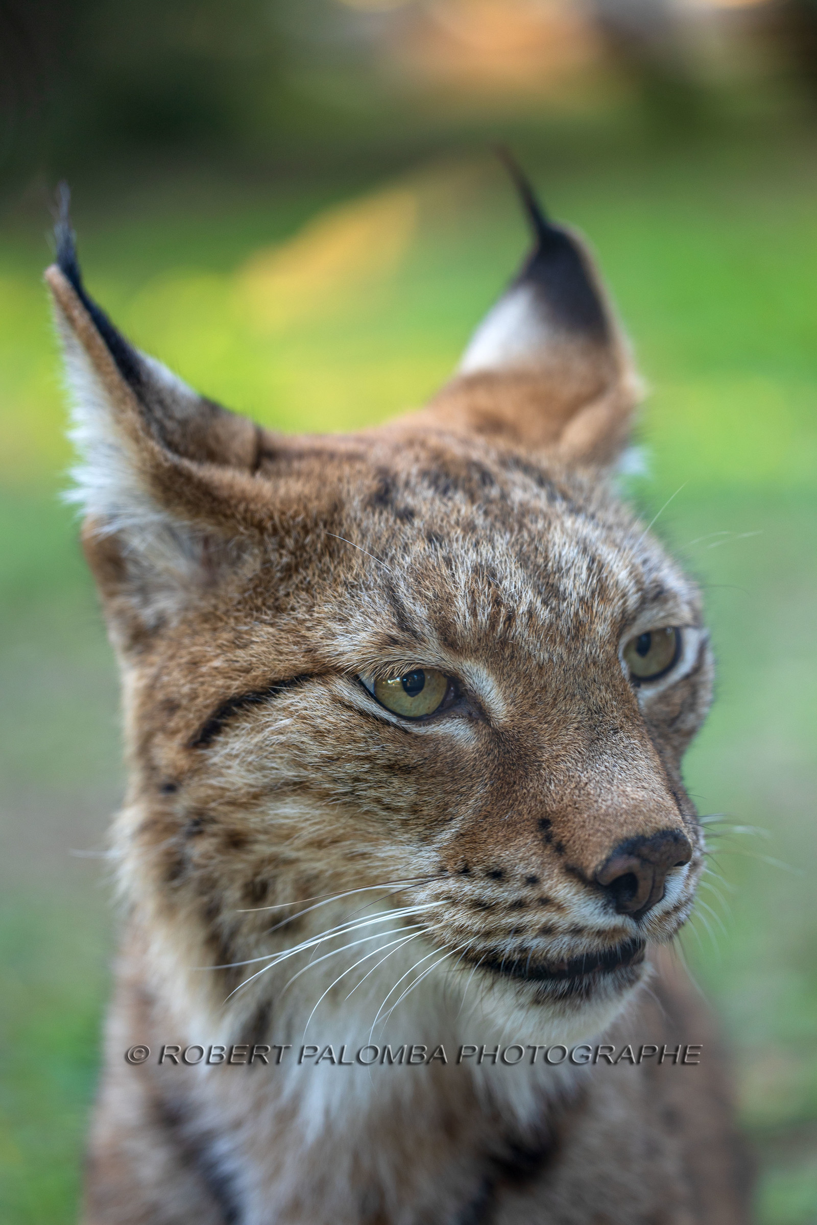 Parc animalier de la Barben