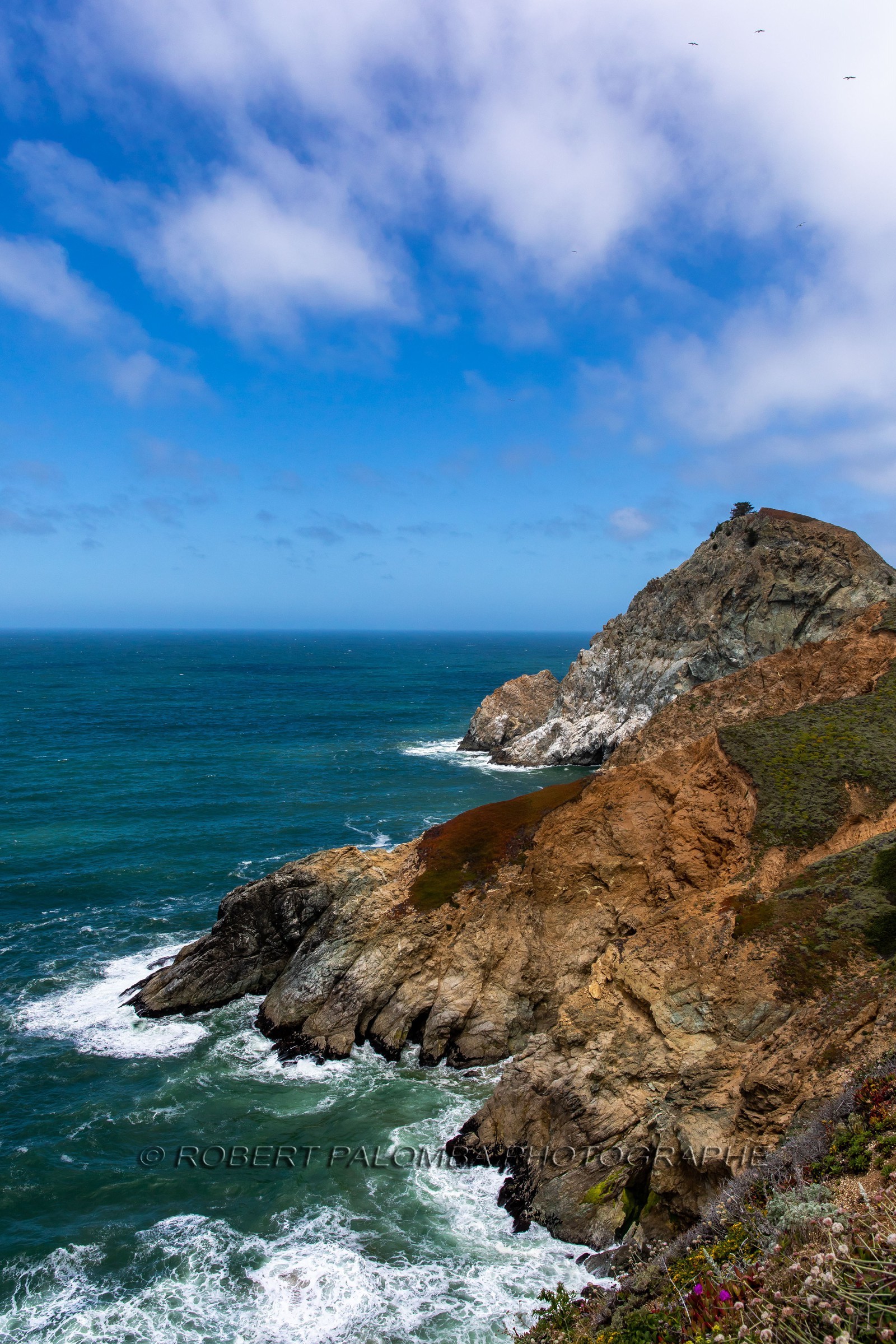 Côte Pacifique de Monterey à San Francisco
