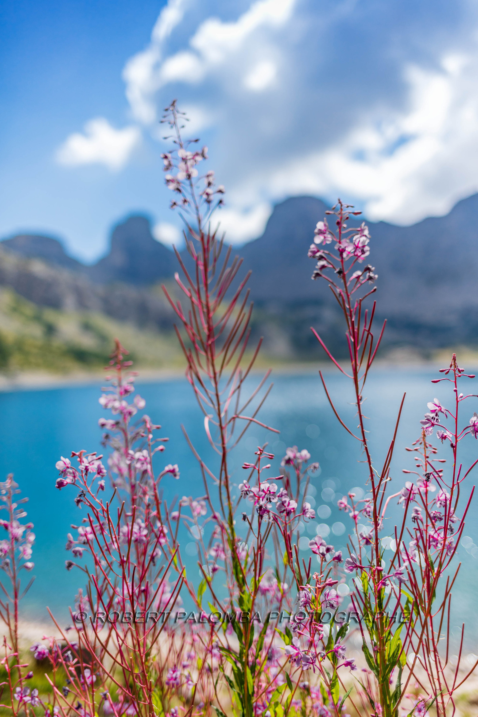 Lac d'Allos