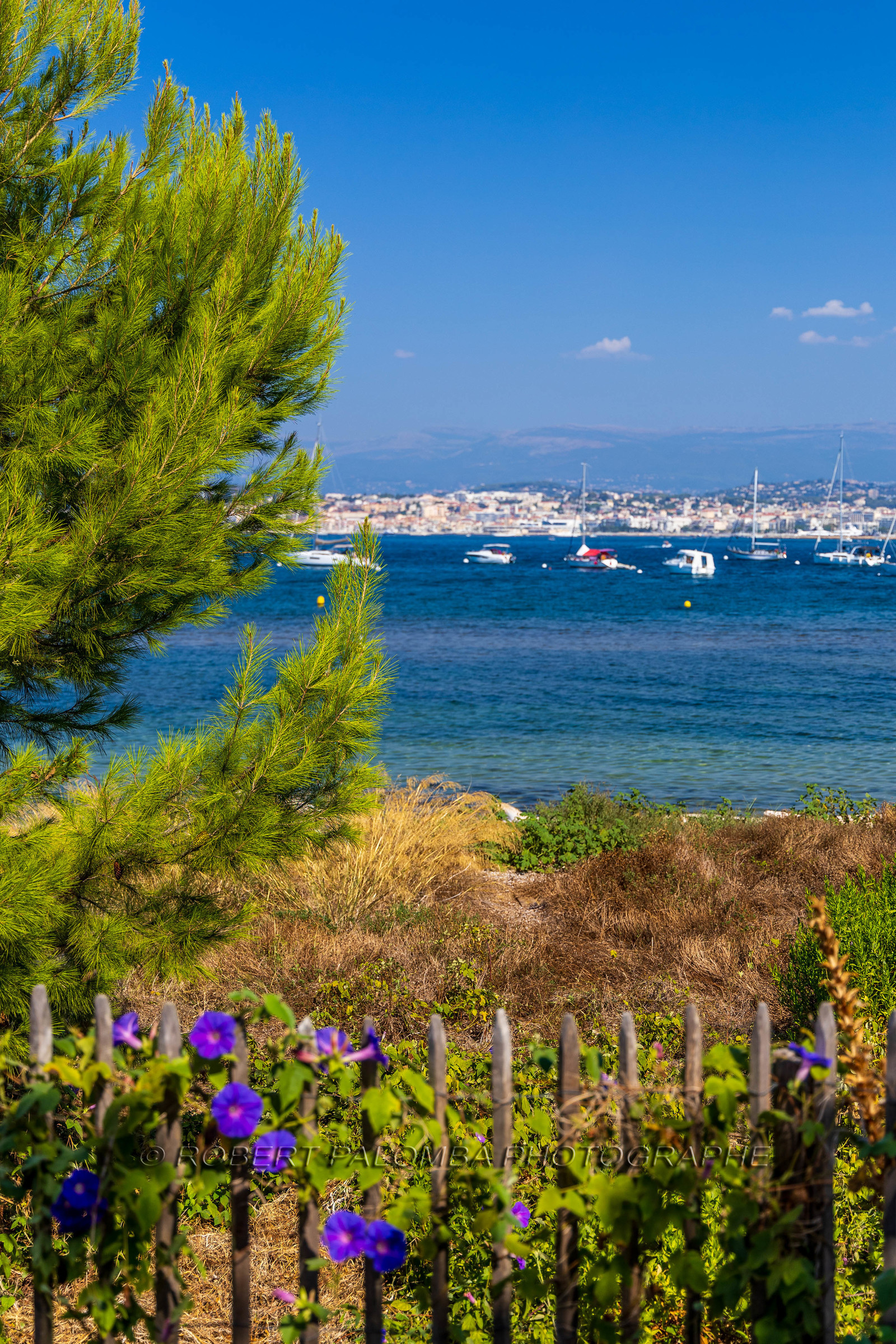 Lérins Sainte-Marguerite 2023