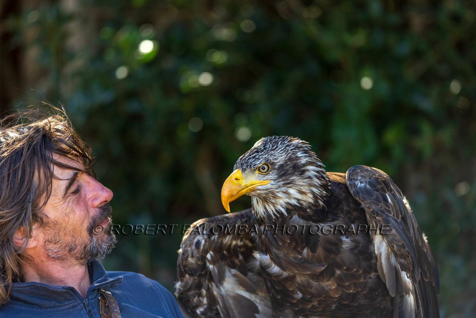 Parc animalier de la Barben
