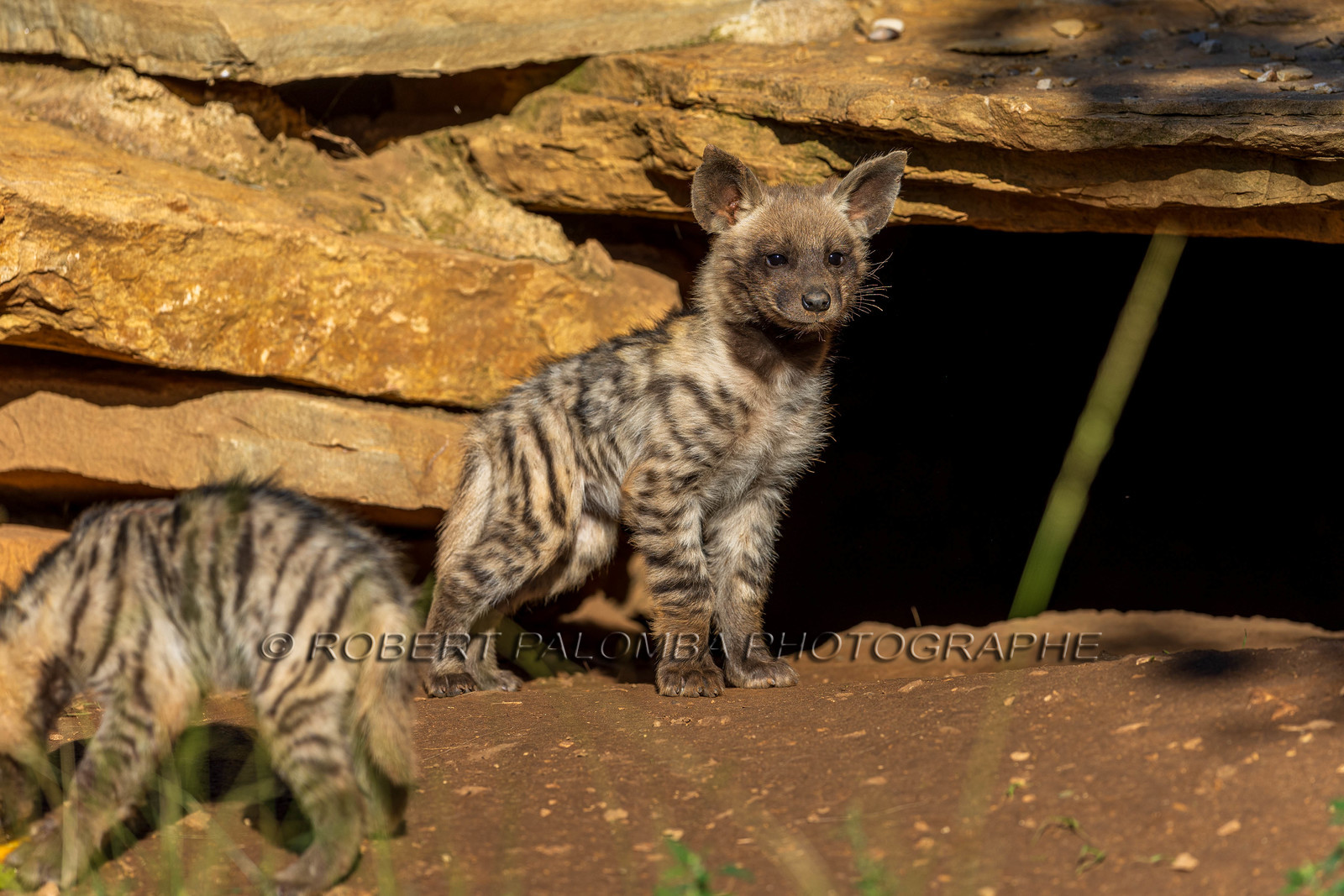 Parc animalier de la Barben