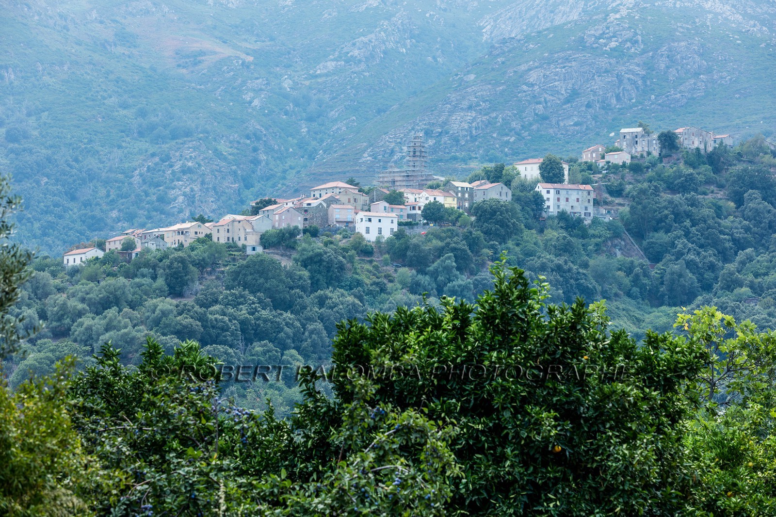 Santo-Pietro-di-Tenda