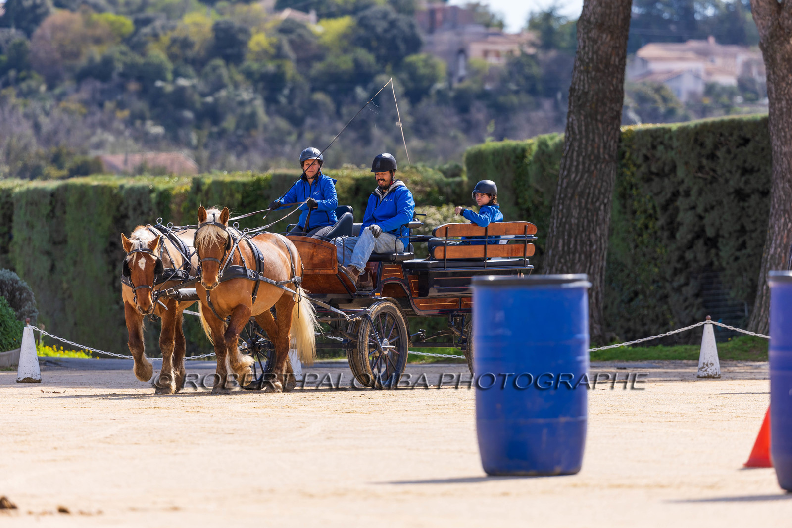 Haras national d'Uzès