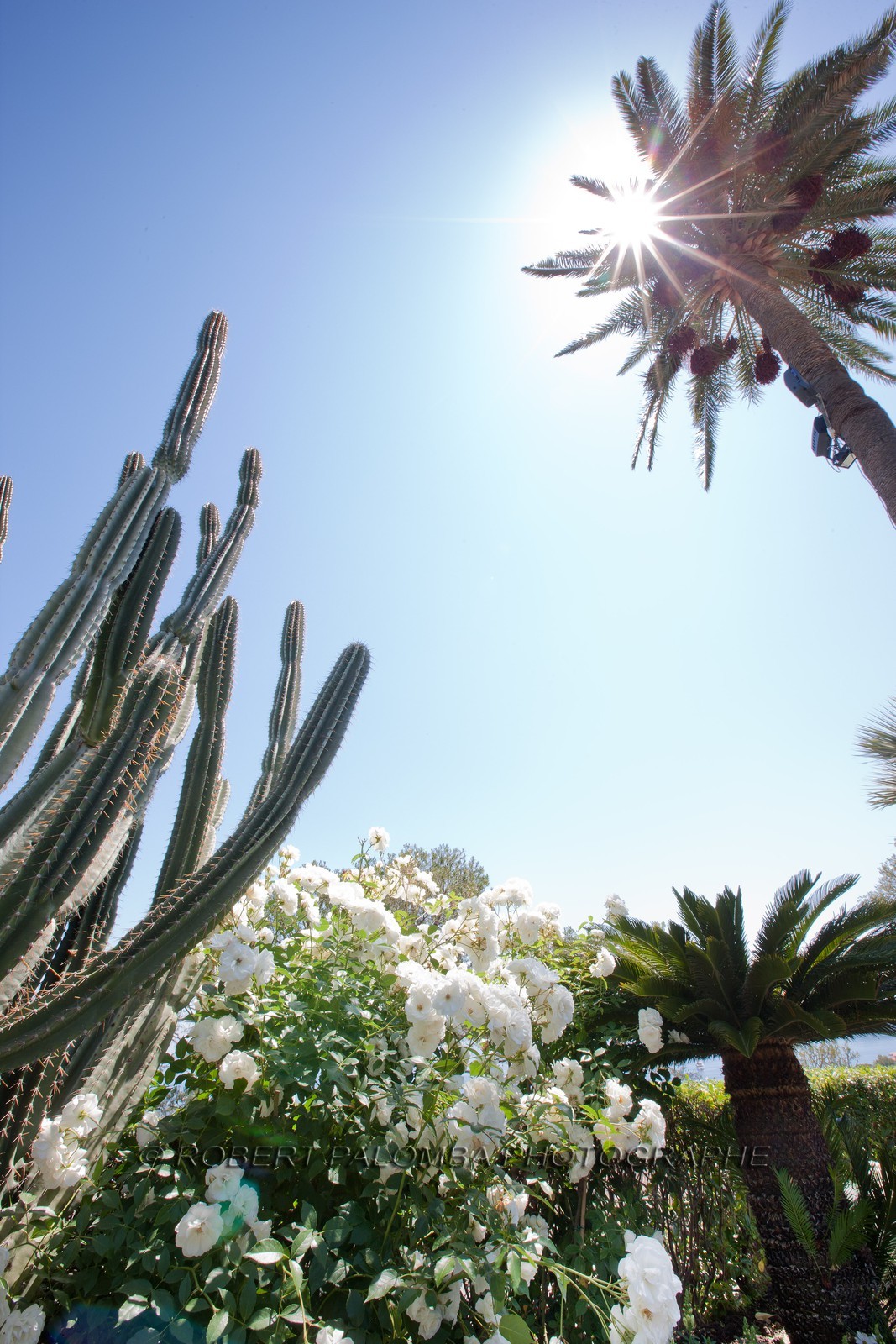 Villa et Jardins Ephrussi de Rothschild