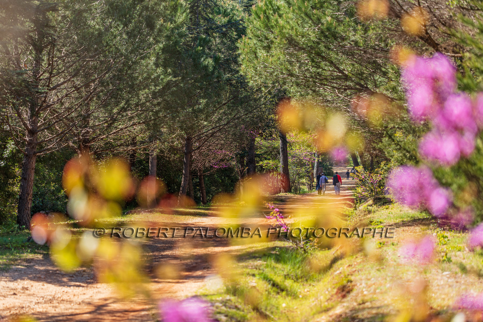 Lérins, Sainte-Marguerite