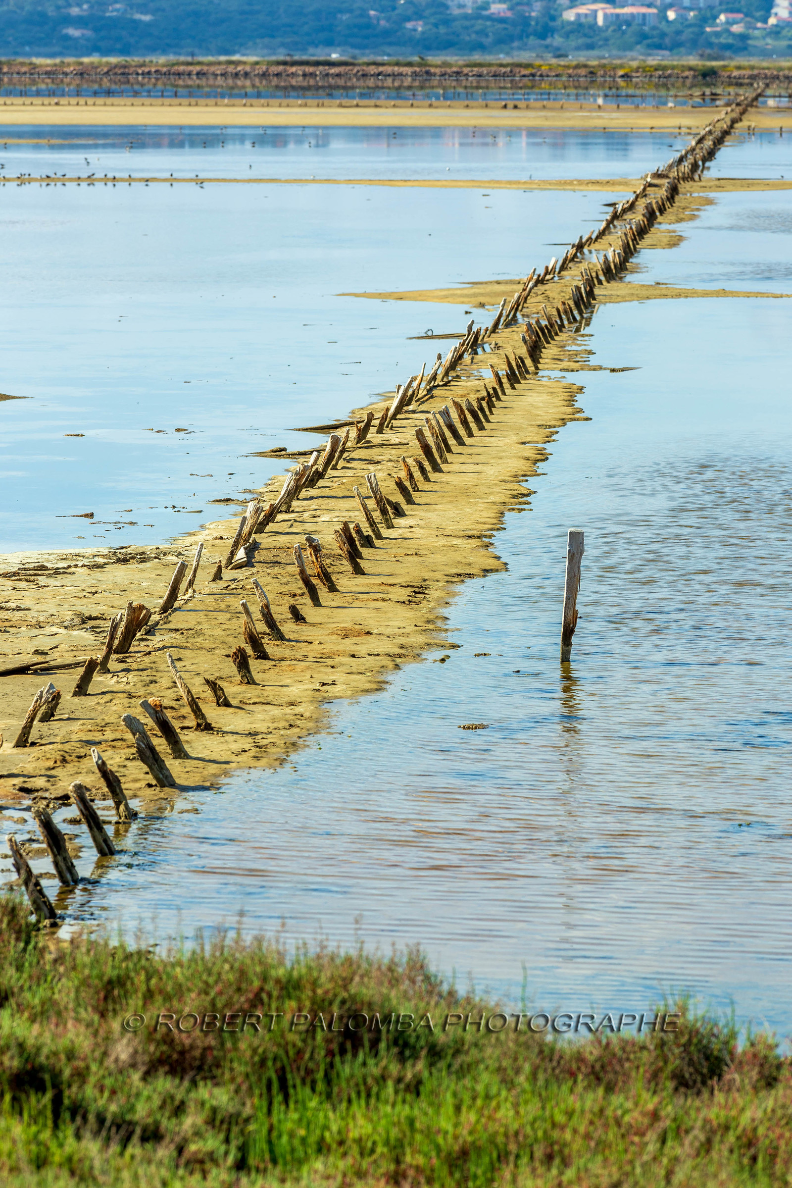 Salins d'Hyères