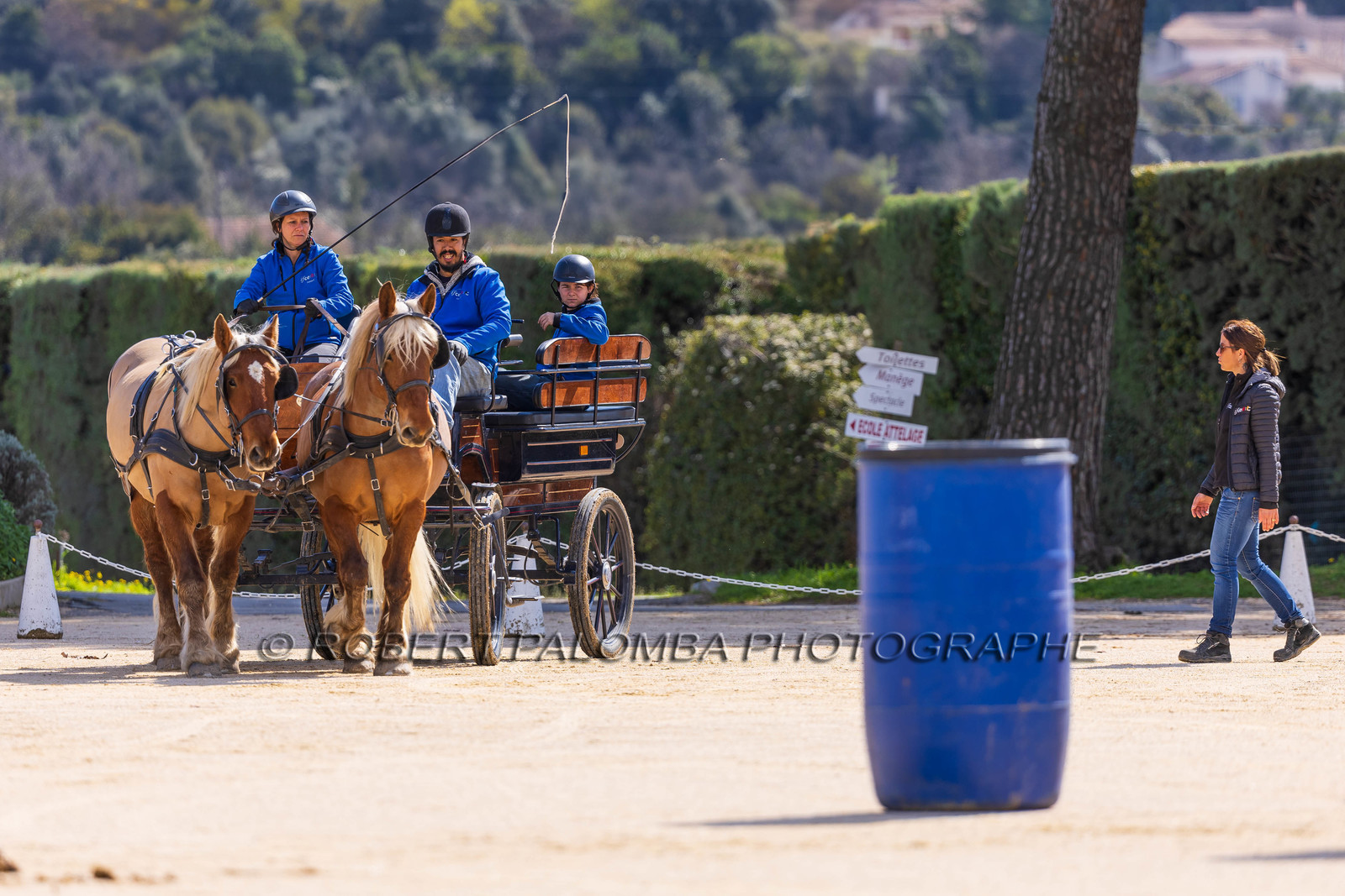Haras national d'Uzès