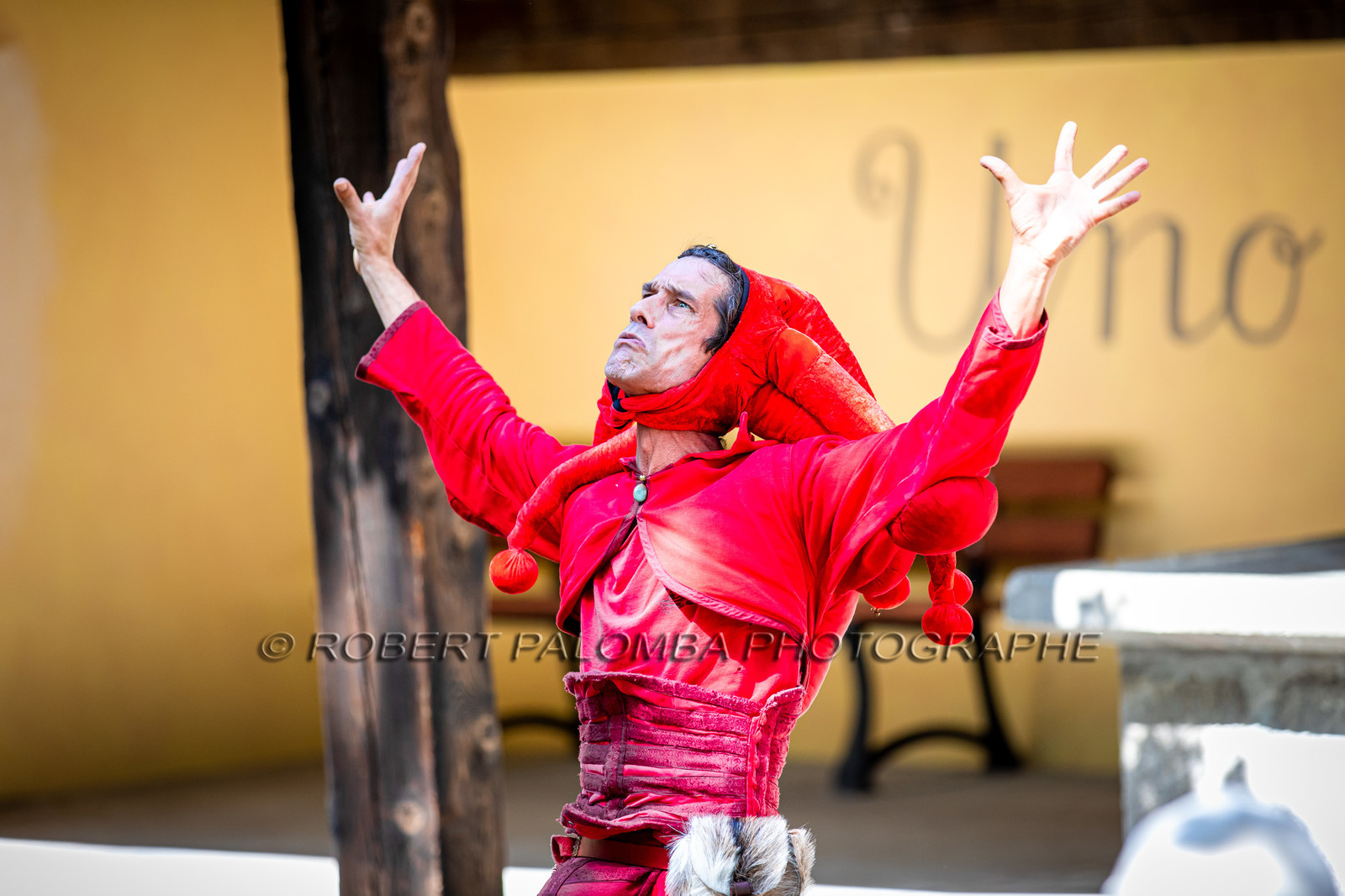 Fête Médiévale de Colmars - Les 25 ans