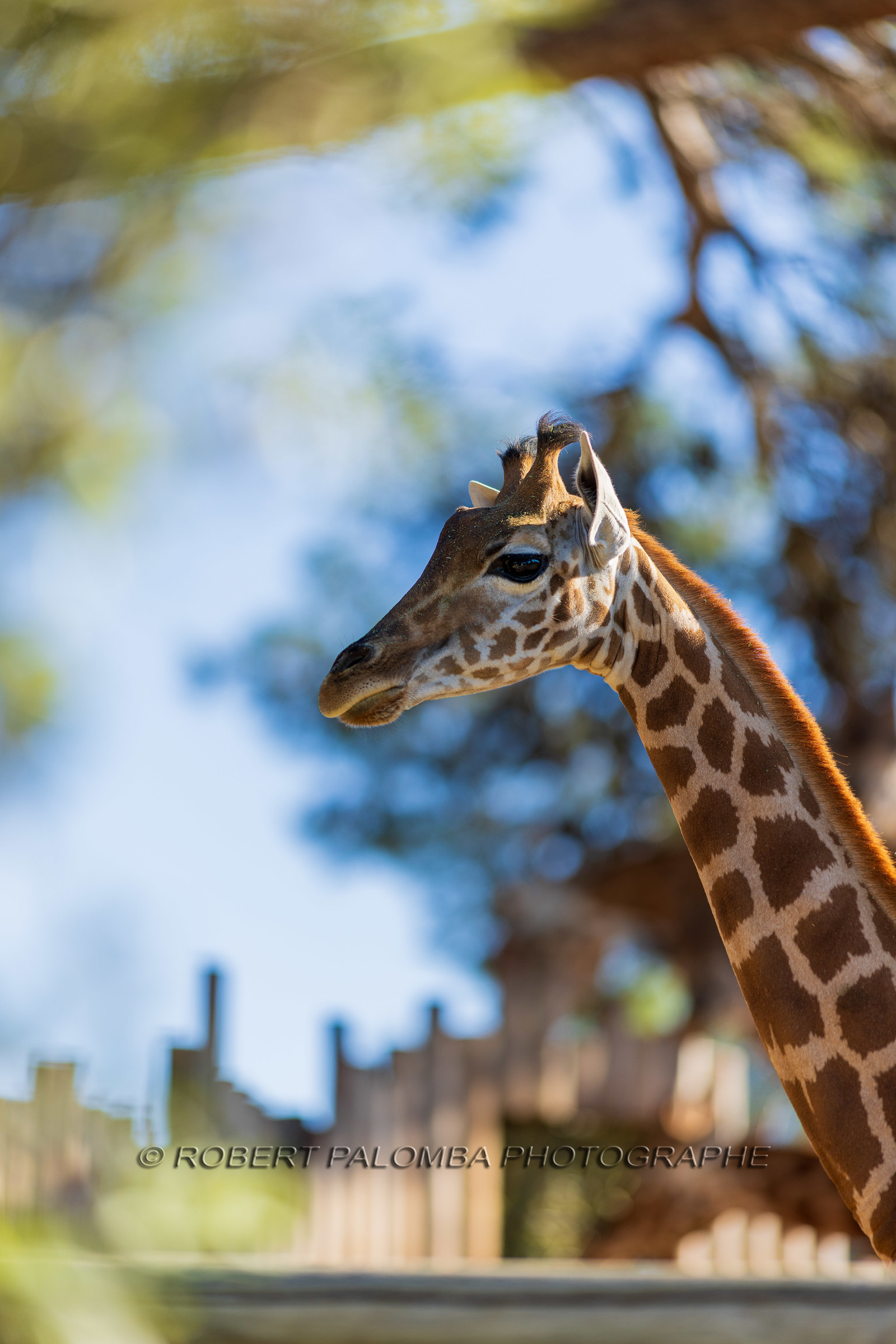 Parc animalier de la Barben