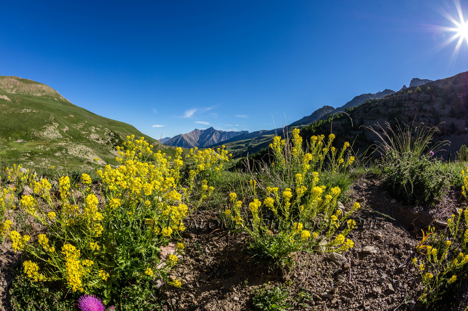 Col de la Bonette